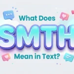 what does smth mean in text