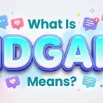 what is idgaf means