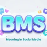 BMS Meaning in Social Media: Definition, Examples & Usage