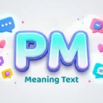 pm meaning text