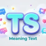 ts meaning text