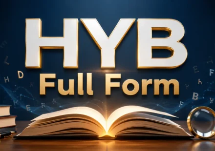 hyb-full-form